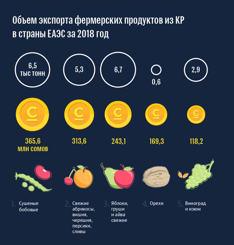 infographics 001 02